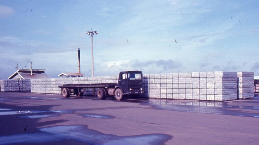 Rows of transfer cases, used for transporting deceased soldiers, are lined up at the U.S. Army mortuary at Tan Son Nhut Air Base in Saigon, circa 1972. According to Atkinson, he never used them to smuggle heroin. U.S. Army Quartermaster Museum