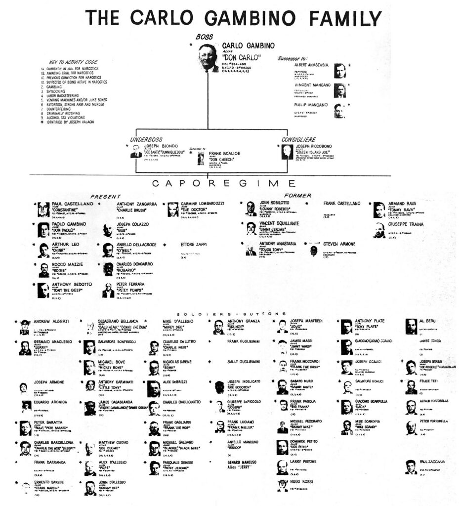 This Gambino hierarchy chart was presented during the 1963 McClellan hearings. Courtesy of Cipollini Collection